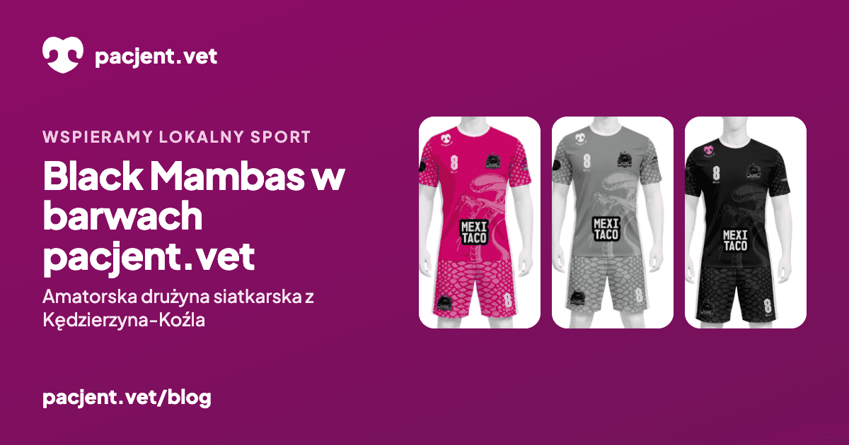 Trzy komplety strojów siatkarskich Black Mambas z logo pacjent.vet: różowy, szary i czarny